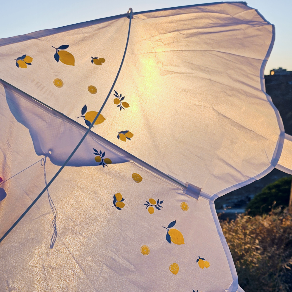 That Summer Kite